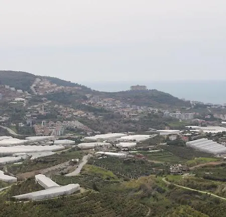Goldcity Paradise *