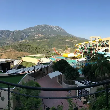 Goldcity Paradise